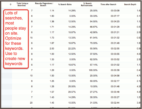 Tracking Internal Site Search #8