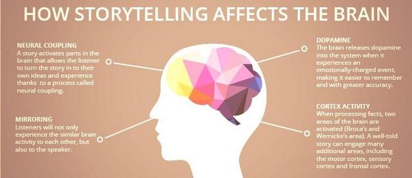 How storytelling affects the brain informational image.