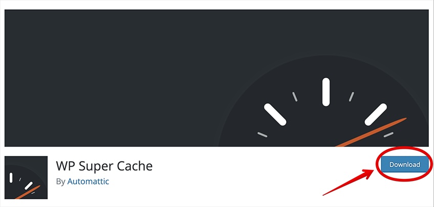 WP Super Cache download screen. 