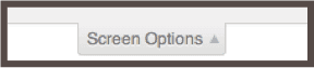 WordPress screen options.