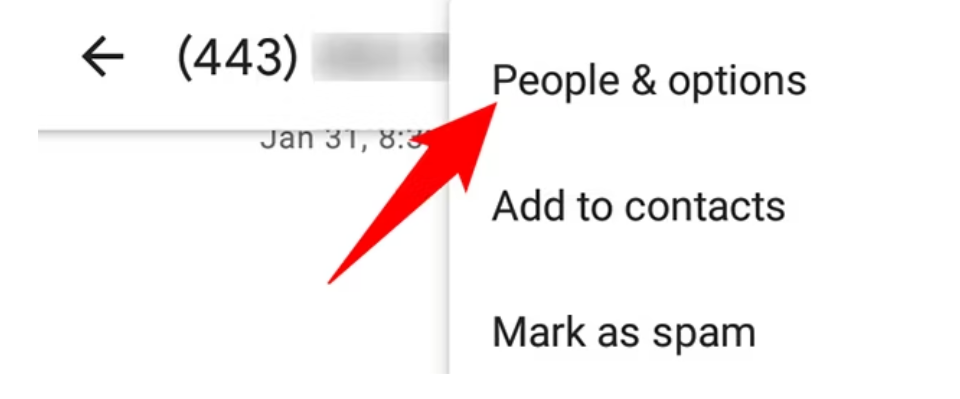 Screenshot of the people and options drop down selection within the... in the upper right hand corner. Using Google voice.