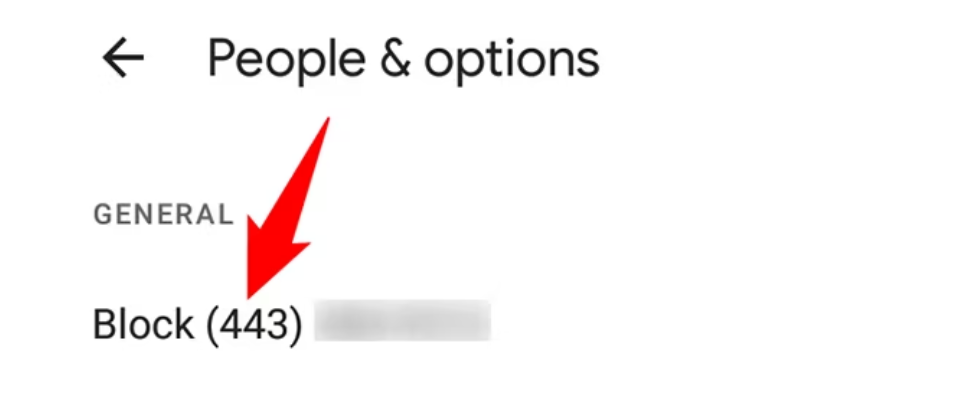 Screenshot of the people and options section of Google Pixel where you can go to general settings and block a number.