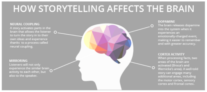 An infographic detailing how storytelling affects the brain. 